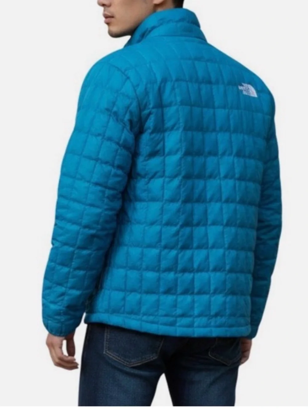 The North Face north face